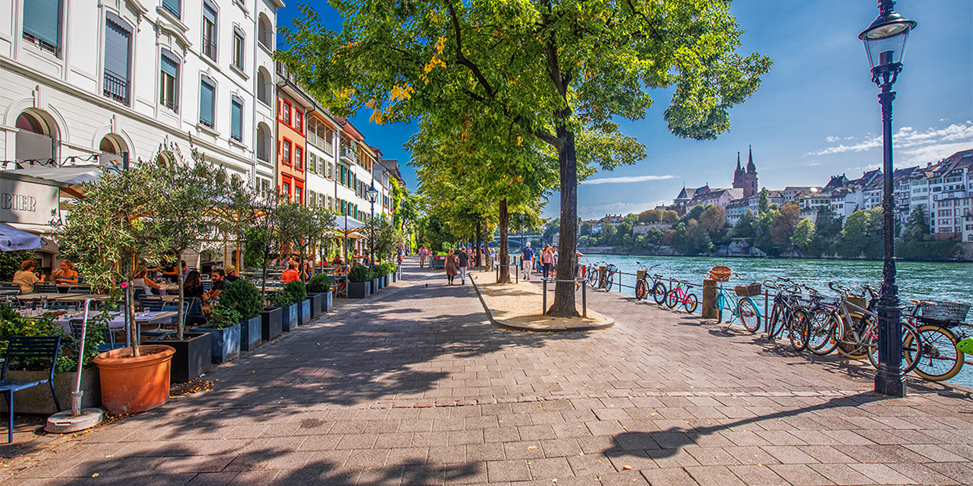 Rheinpromenade in Basel im Sommer mit Bäumen und Menschen